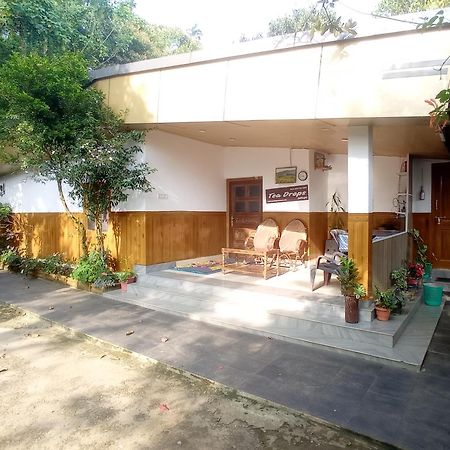 Munnar Home Stay Teadrops Plantation Villa Eksteriør bilde