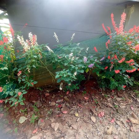 Munnar Home Stay Teadrops Plantation Villa Eksteriør bilde