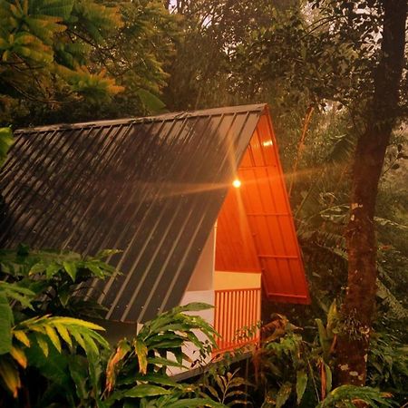 Munnar Home Stay Teadrops Plantation Villa Eksteriør bilde