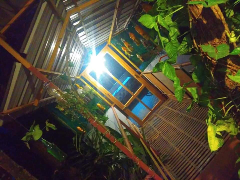 Munnar Home Stay Teadrops Plantation Villa Eksteriør bilde