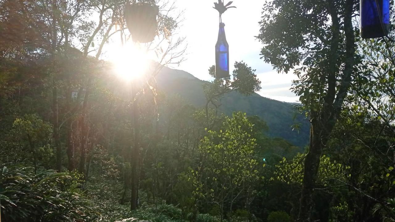 Munnar Home Stay Teadrops Plantation Villa Eksteriør bilde
