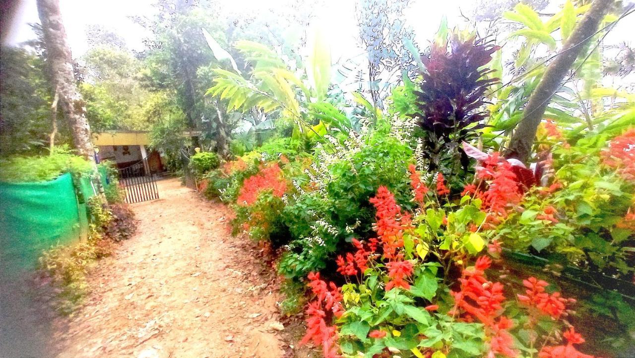 Munnar Home Stay Teadrops Plantation Villa Eksteriør bilde