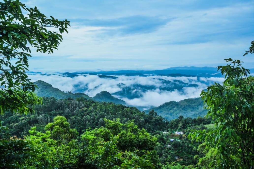 Munnar Home Stay Teadrops Plantation Villa Eksteriør bilde