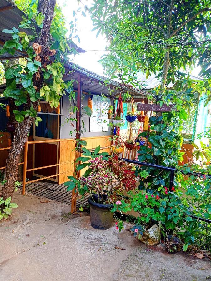 Munnar Home Stay Teadrops Plantation Villa Eksteriør bilde