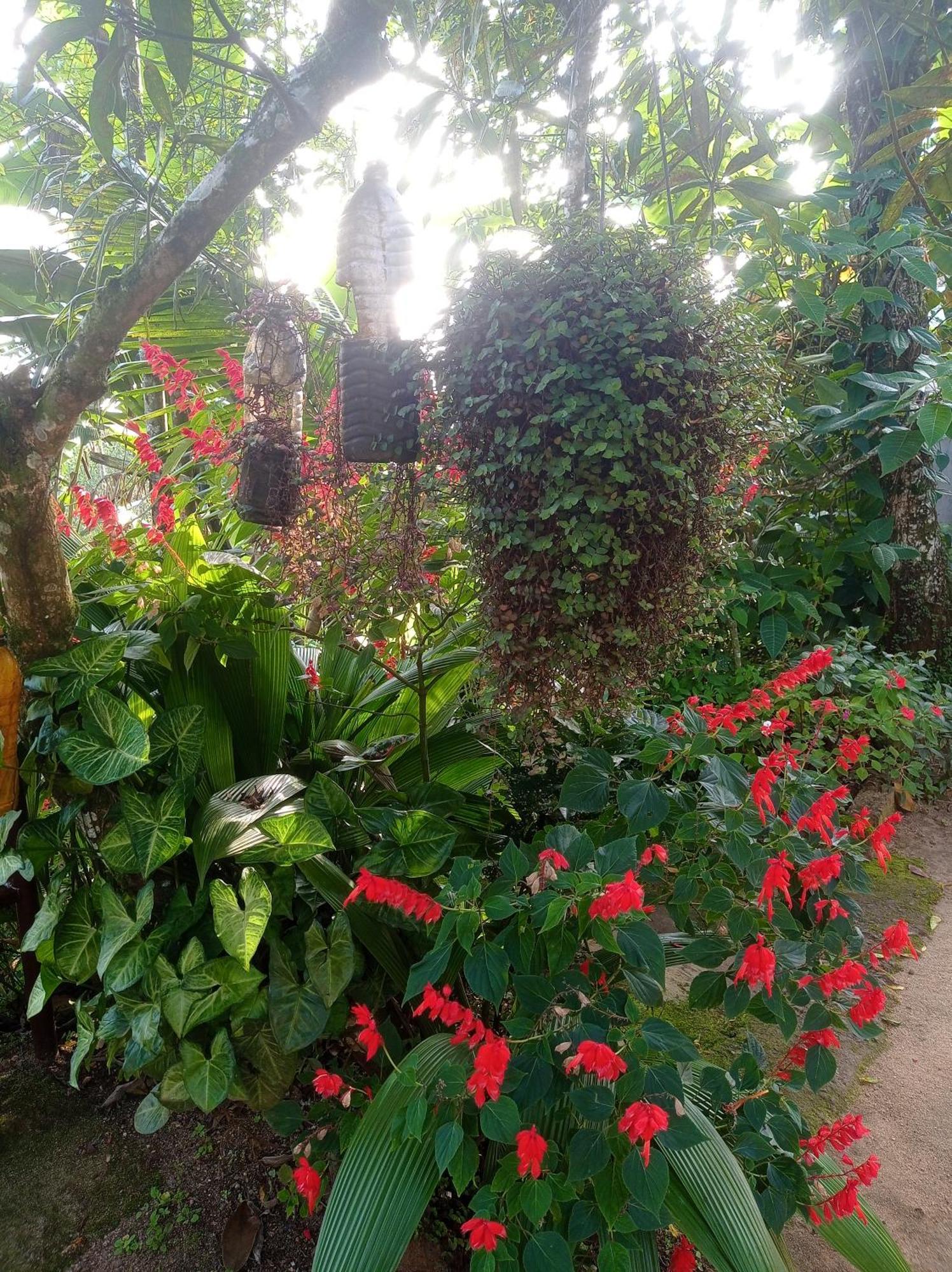 Munnar Home Stay Teadrops Plantation Villa Eksteriør bilde
