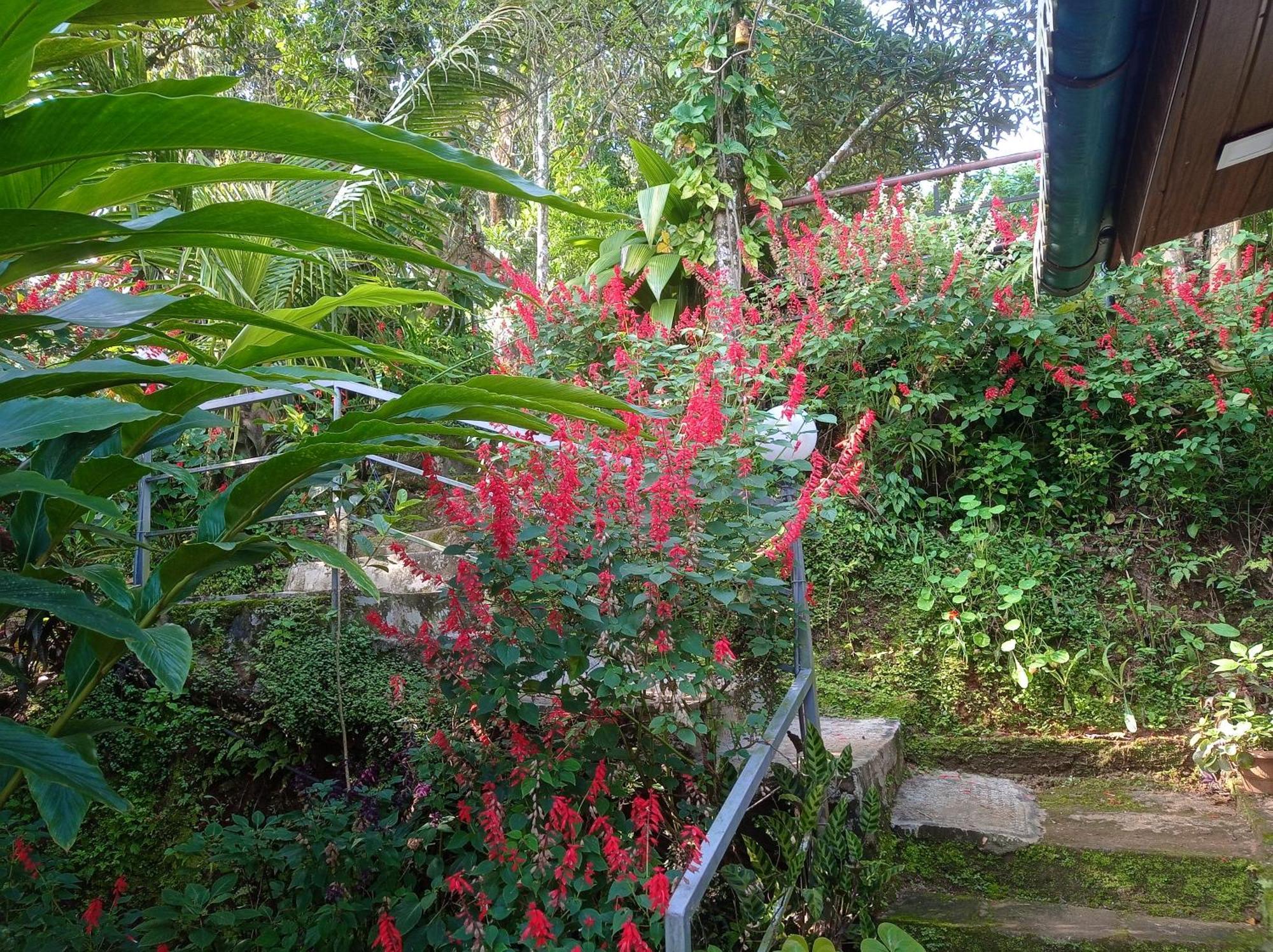 Munnar Home Stay Teadrops Plantation Villa Eksteriør bilde