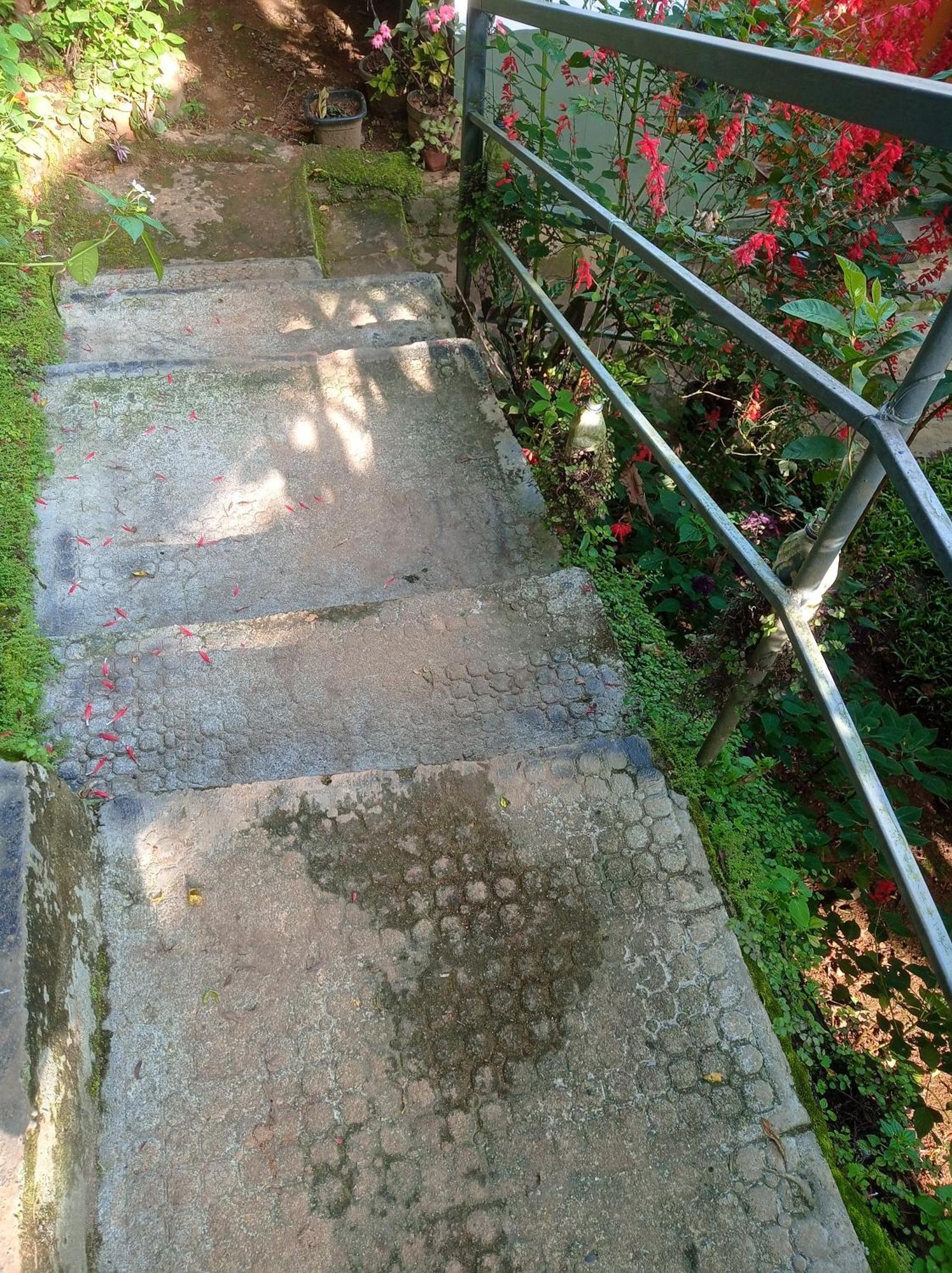 Munnar Home Stay Teadrops Plantation Villa Eksteriør bilde