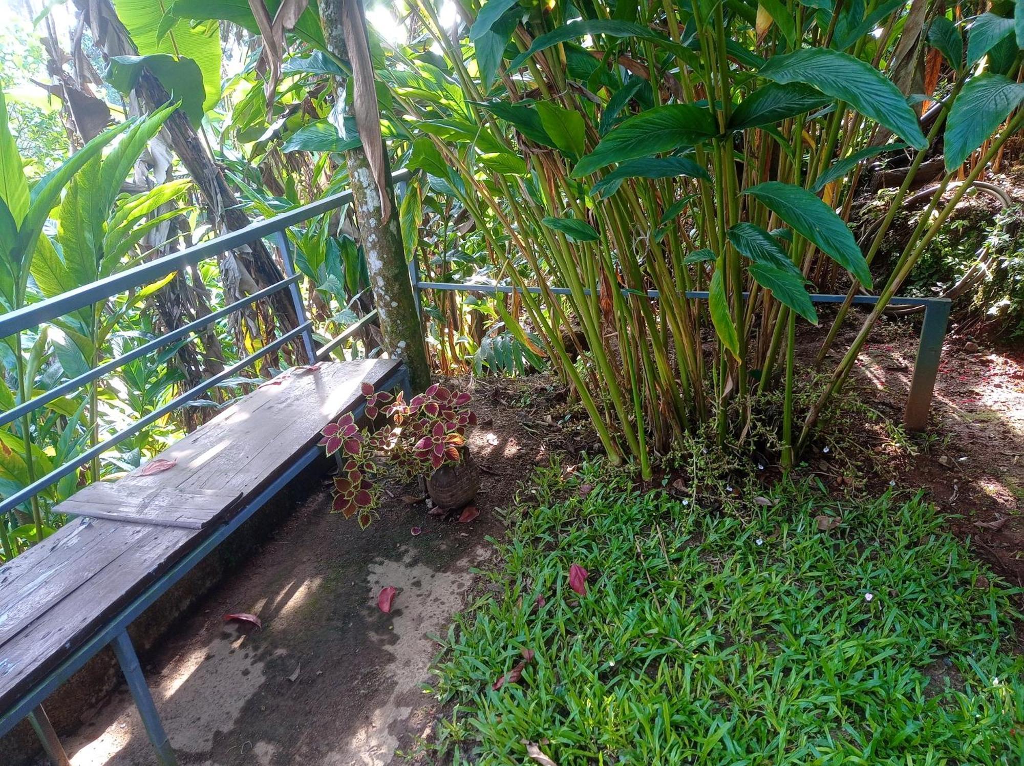 Munnar Home Stay Teadrops Plantation Villa Eksteriør bilde