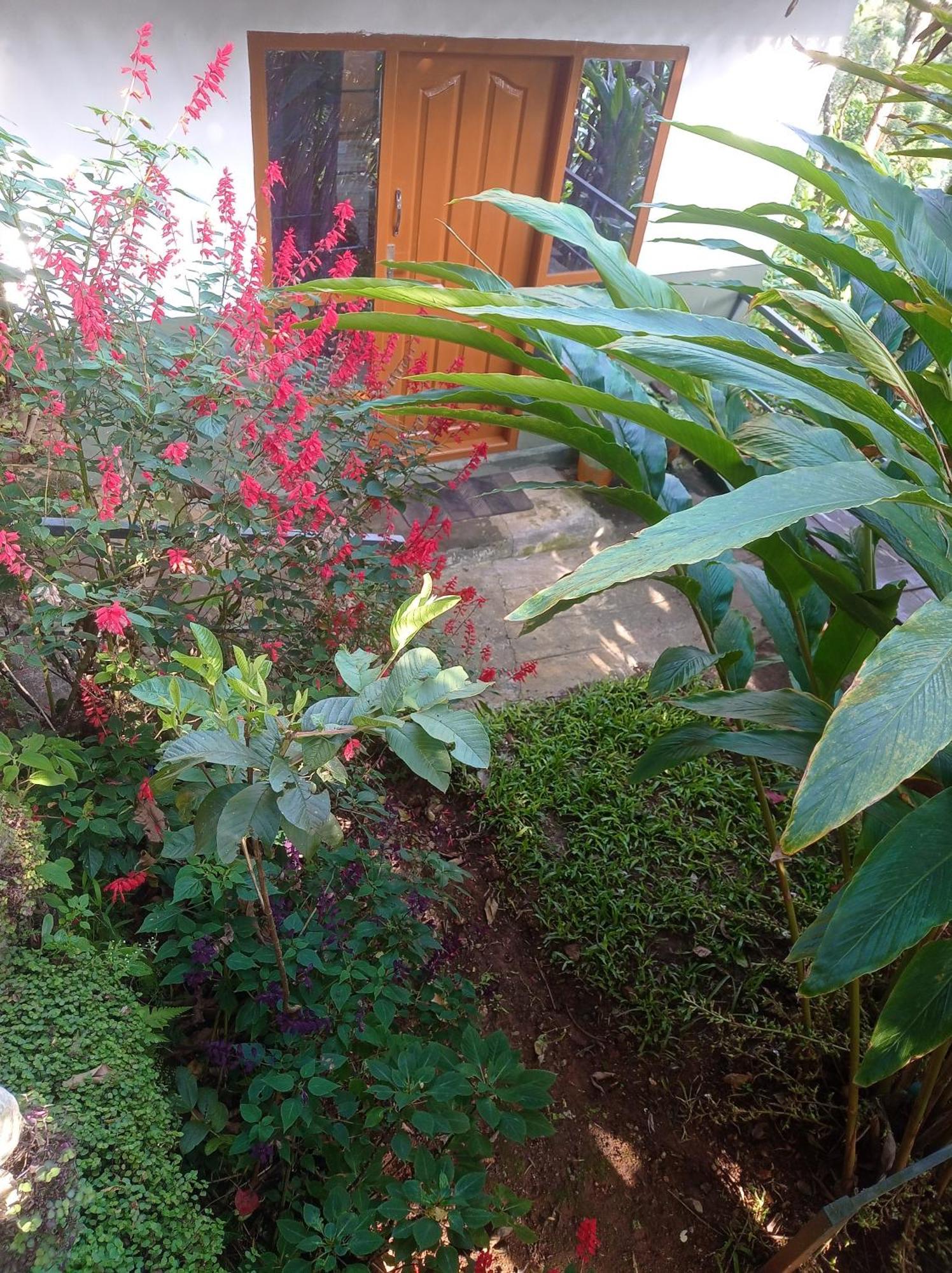 Munnar Home Stay Teadrops Plantation Villa Eksteriør bilde