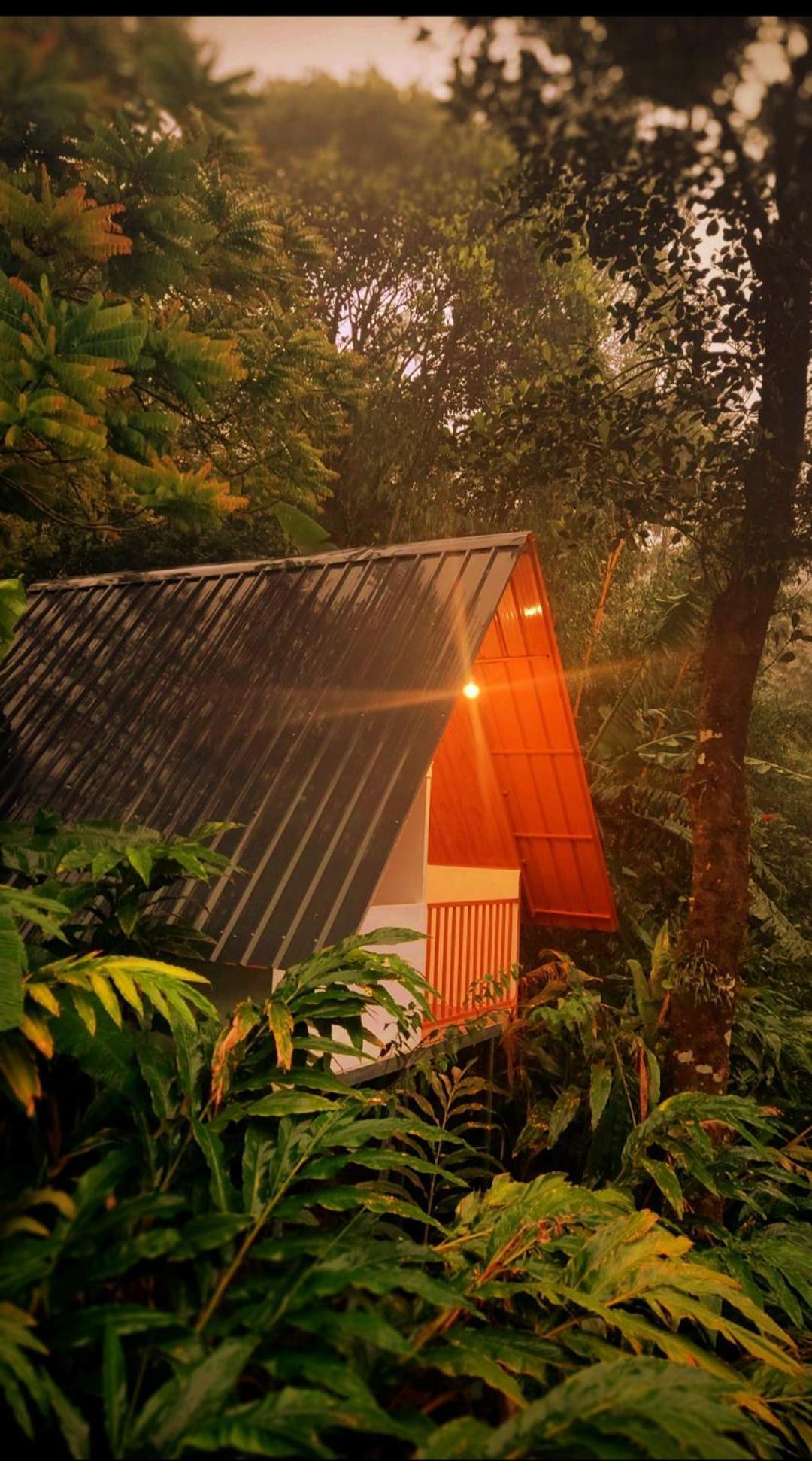 Munnar Home Stay Teadrops Plantation Villa Eksteriør bilde